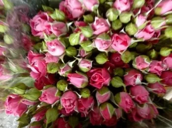 img.NjMyNDk3MTc2-1920w